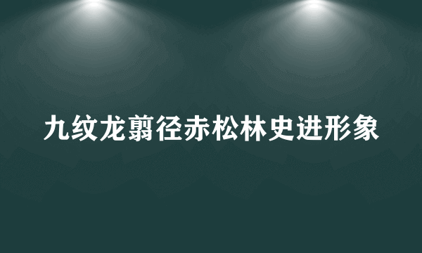 九纹龙翦径赤松林史进形象