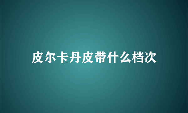 皮尔卡丹皮带什么档次