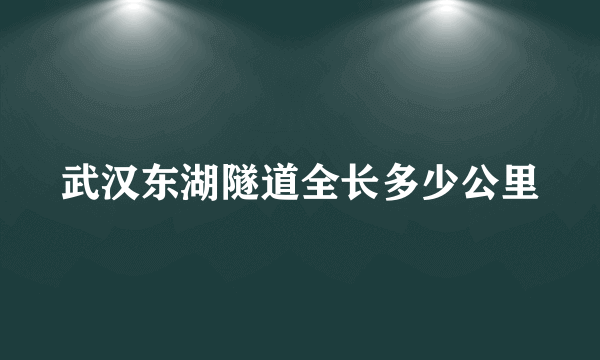 武汉东湖隧道全长多少公里