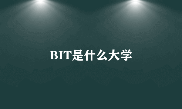 BIT是什么大学