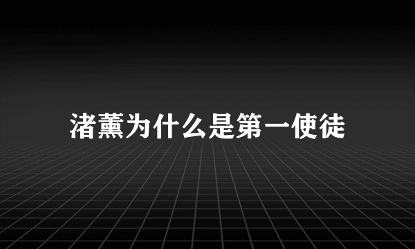 渚薰为什么是第一使徒