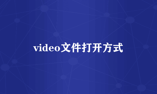 video文件打开方式