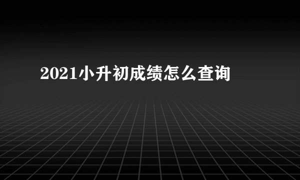 2021小升初成绩怎么查询