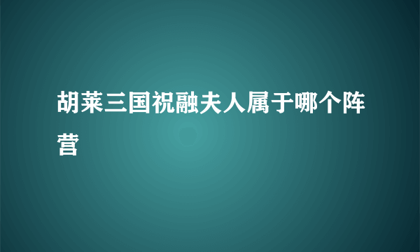 胡莱三国祝融夫人属于哪个阵营