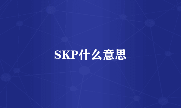 SKP什么意思