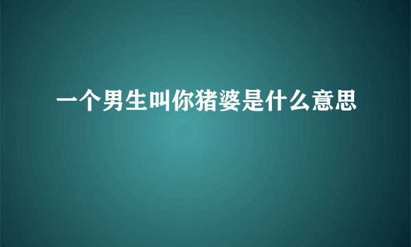 一个男生叫你猪婆是什么意思