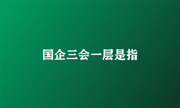 国企三会一层是指