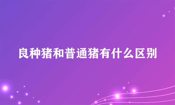 良种猪和普通猪有什么区别