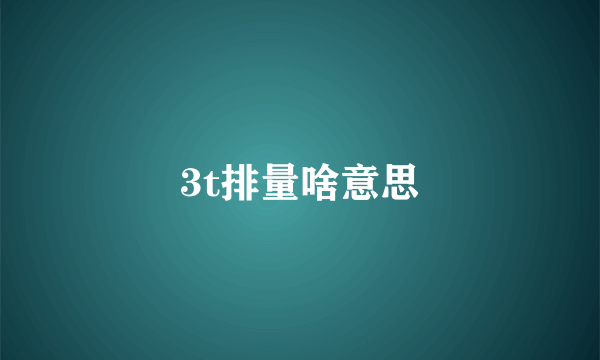 3t排量啥意思