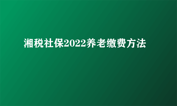 湘税社保2022养老缴费方法