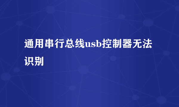 通用串行总线usb控制器无法识别