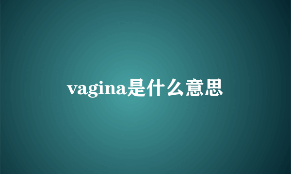 vagina是什么意思