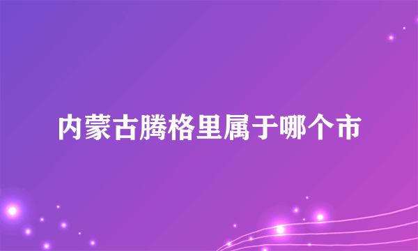 内蒙古腾格里属于哪个市