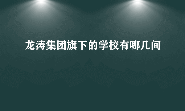 龙涛集团旗下的学校有哪几间