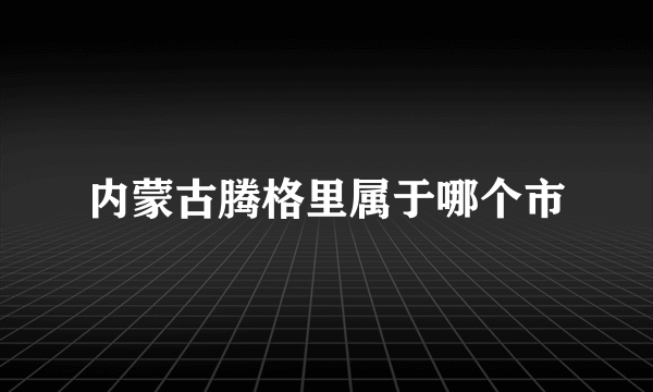 内蒙古腾格里属于哪个市