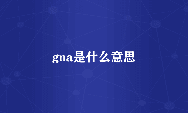 gna是什么意思