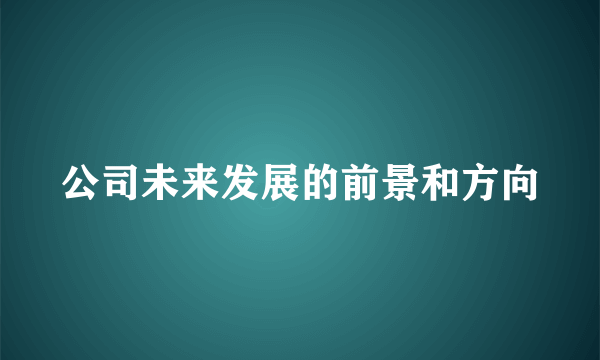 公司未来发展的前景和方向