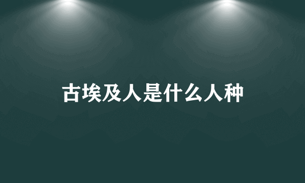 古埃及人是什么人种