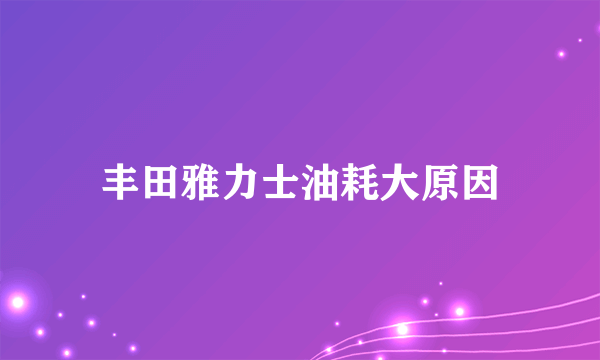 丰田雅力士油耗大原因