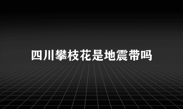 四川攀枝花是地震带吗