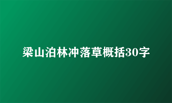 梁山泊林冲落草概括30字