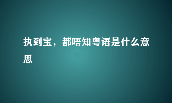 执到宝，都唔知粤语是什么意思