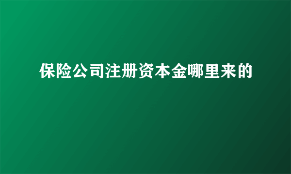 保险公司注册资本金哪里来的