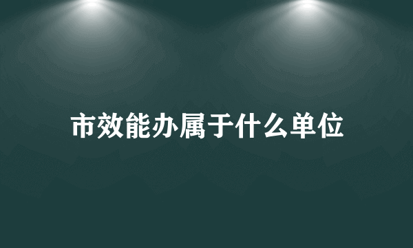 市效能办属于什么单位