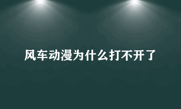 风车动漫为什么打不开了