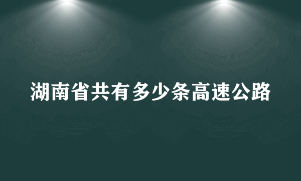 湖南省共有多少条高速公路