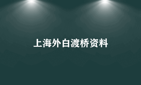 上海外白渡桥资料