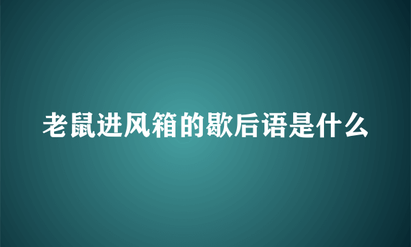 老鼠进风箱的歇后语是什么