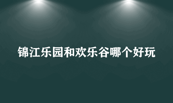 锦江乐园和欢乐谷哪个好玩