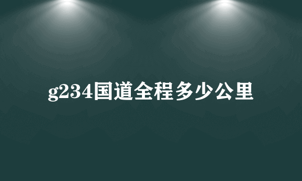 g234国道全程多少公里