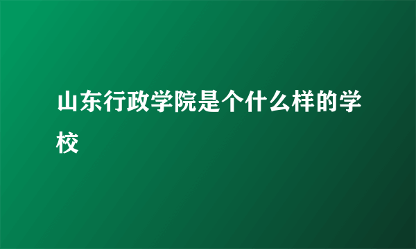 山东行政学院是个什么样的学校