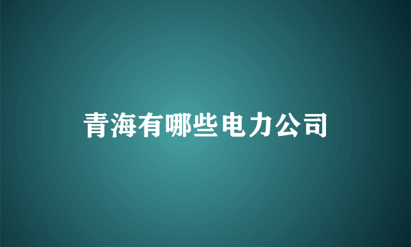 青海有哪些电力公司