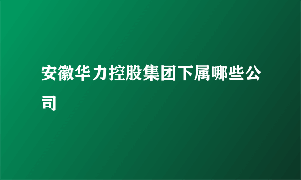 安徽华力控股集团下属哪些公司