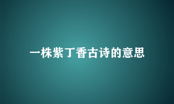 一株紫丁香古诗的意思