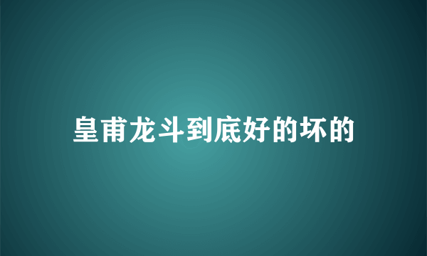 皇甫龙斗到底好的坏的