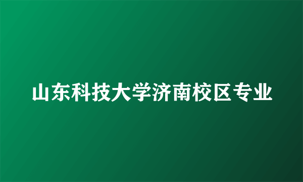 山东科技大学济南校区专业