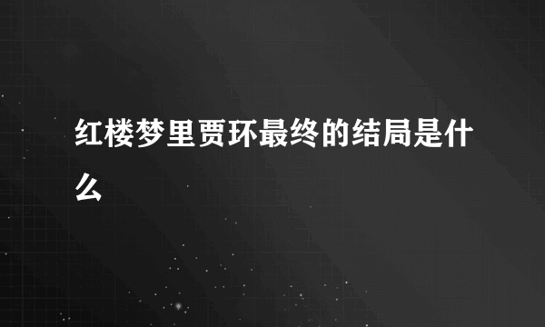 红楼梦里贾环最终的结局是什么