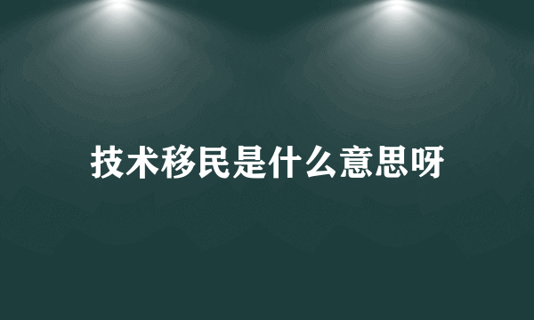 技术移民是什么意思呀