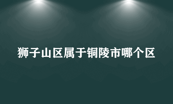 狮子山区属于铜陵市哪个区