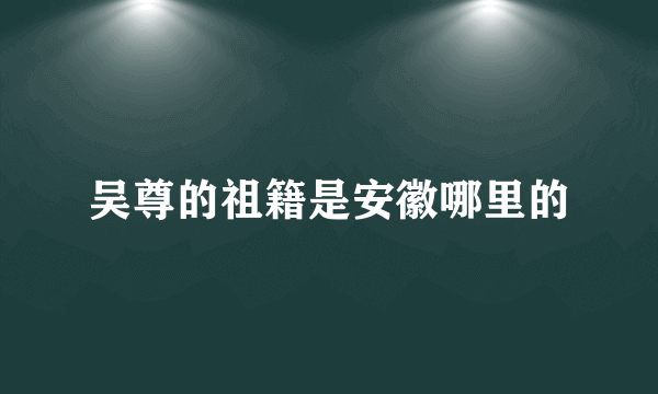 吴尊的祖籍是安徽哪里的