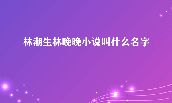 林潮生林晚晚小说叫什么名字