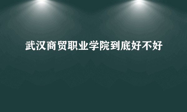 武汉商贸职业学院到底好不好