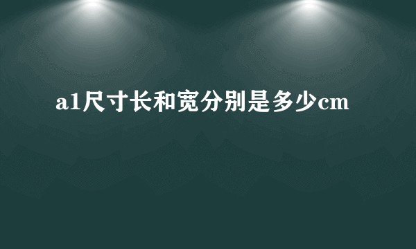 a1尺寸长和宽分别是多少cm