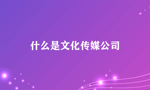 什么是文化传媒公司