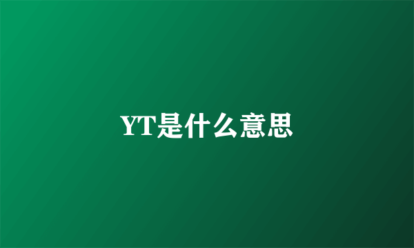 YT是什么意思