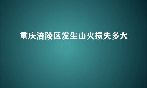 重庆涪陵区发生山火损失多大